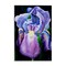Stupell Industries Purple Iris Petals Wall Plaque By Sarah Waldron Kimball